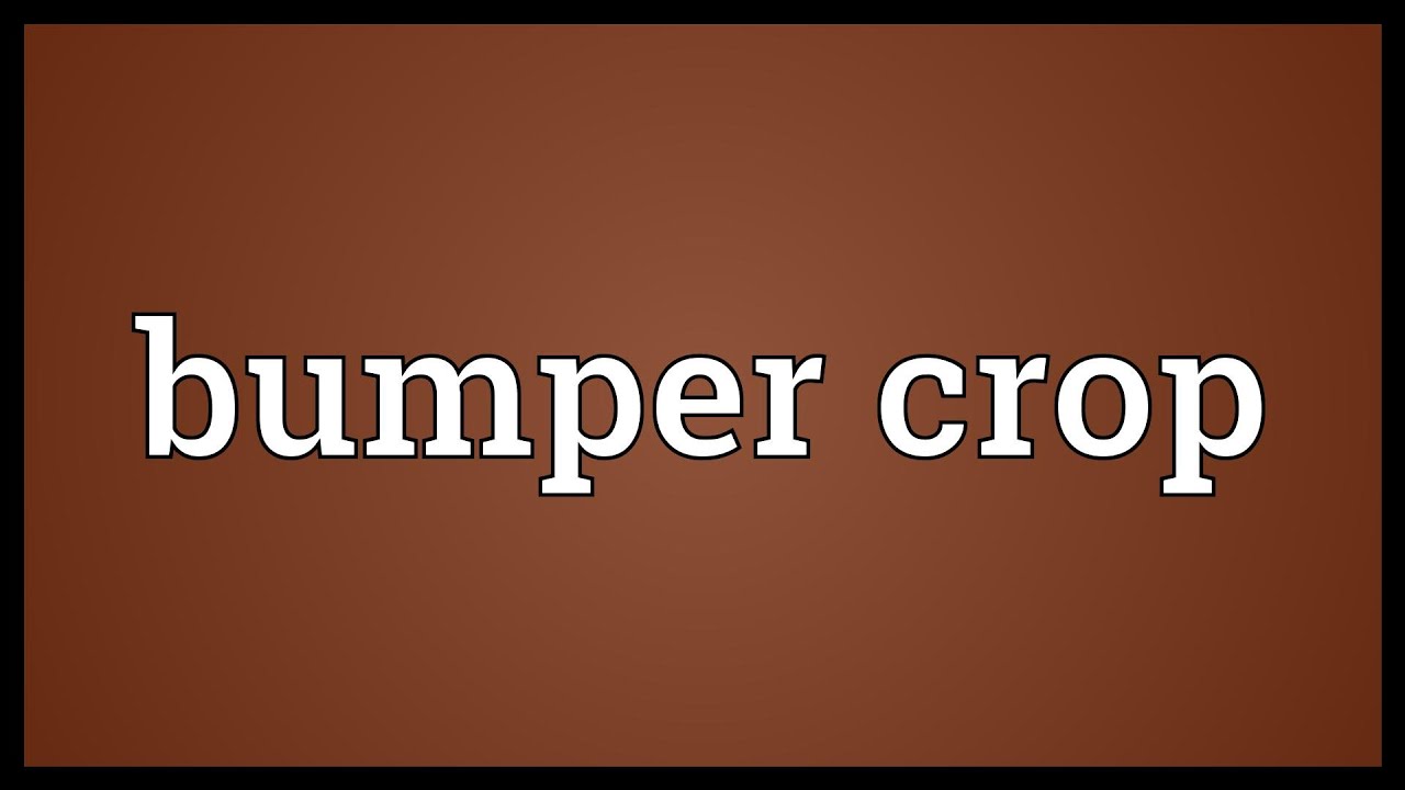 What is a Bumper Crop?