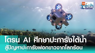 ออสเตรเลียใช้โดรน AI สำรวจใต้ทะเล สู้ปัญหาปะการังฟอกขาว | TNN Tech Reports