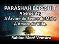 [Parashah] Bereshit - A Serpente, a Árvore do Bem e do Mal e a Árvore da Vida.