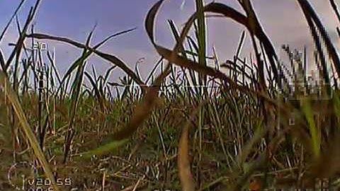 160Km FPV (80Km out and back) LongRangeFlight | - ezUHF | short DVR