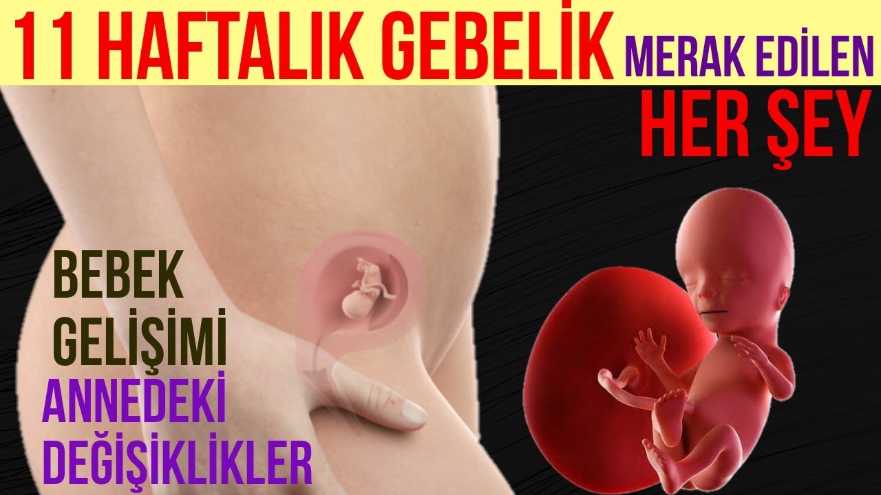 11-е Еженедельно Беременность (2020)