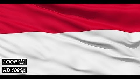 Waving National Flag Of Monaco | Motion Graphics - Videohive template