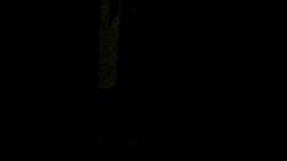 MVI_0565.AVI