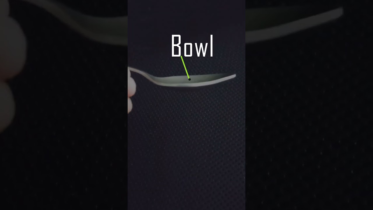 The obvious spoon video | Parts of a spoon 🥄🤣 