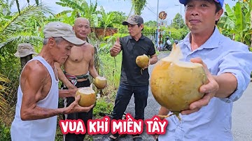 Vua Khỉ cưa đon đọt 2 cây Sao lớn ở gần nhà, và thưởng thức nước dừa mát lạnh cùng chủ nhà.