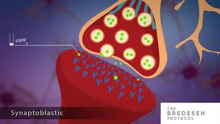 The Science Behind The Bredesen Protocol