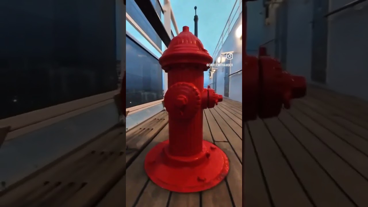 Queen Mary 2 - Kennels  #cunard #queenmary2
