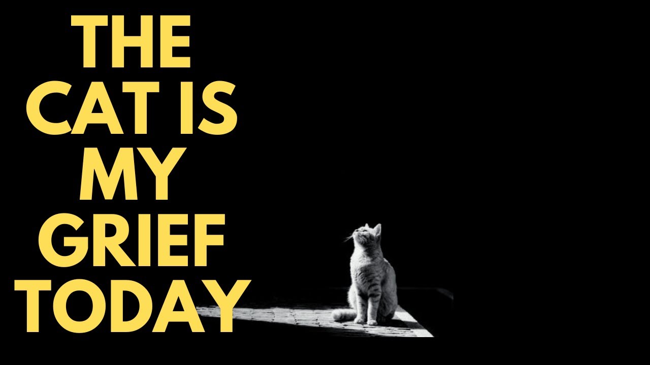 the-cat-is-my-grief-today-by-kadamanitta-ramakrishnan-malayalam