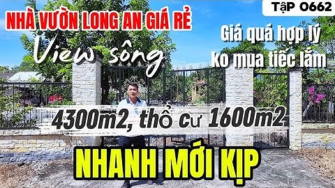 Tập 0662 Nhà vườn Long An giá quá hợp lý 4300m2, thổ cư 1600m2 view sông | Nhà vườn 365