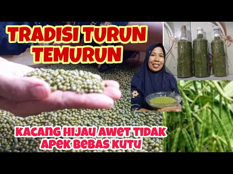 Cara Menyimpan Kacang Ijo Biar Awet