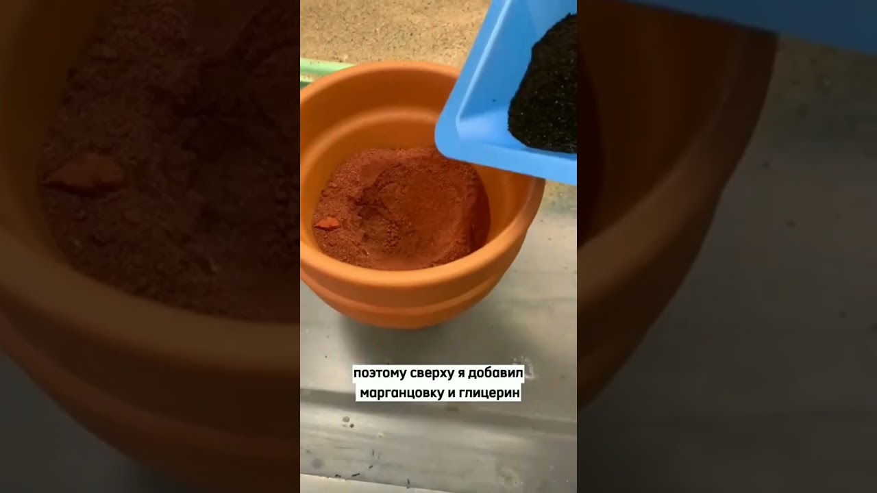 Как вам такой термит?)