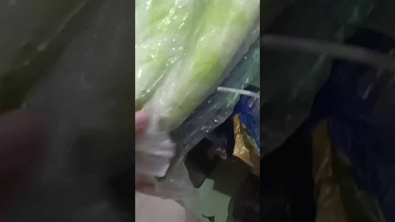 новая поставка зелёных курток The north face 700 kaws