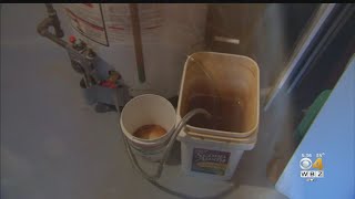 A Fix To Nortons Brown Water Is Coming Soon
