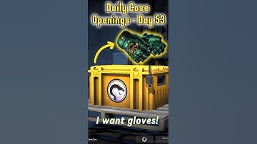 Daily CS2 Case Openings Until We Get A Gold Or Make A Giveaway - Day 53