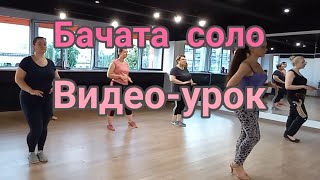 видео: Бачата видео-урок школа танцев только для полных картинка: Бачата видео-урок школа танцев только для полных