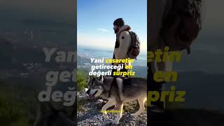 Cesur Olan Herkesi Yorumlara Bekliyoruz