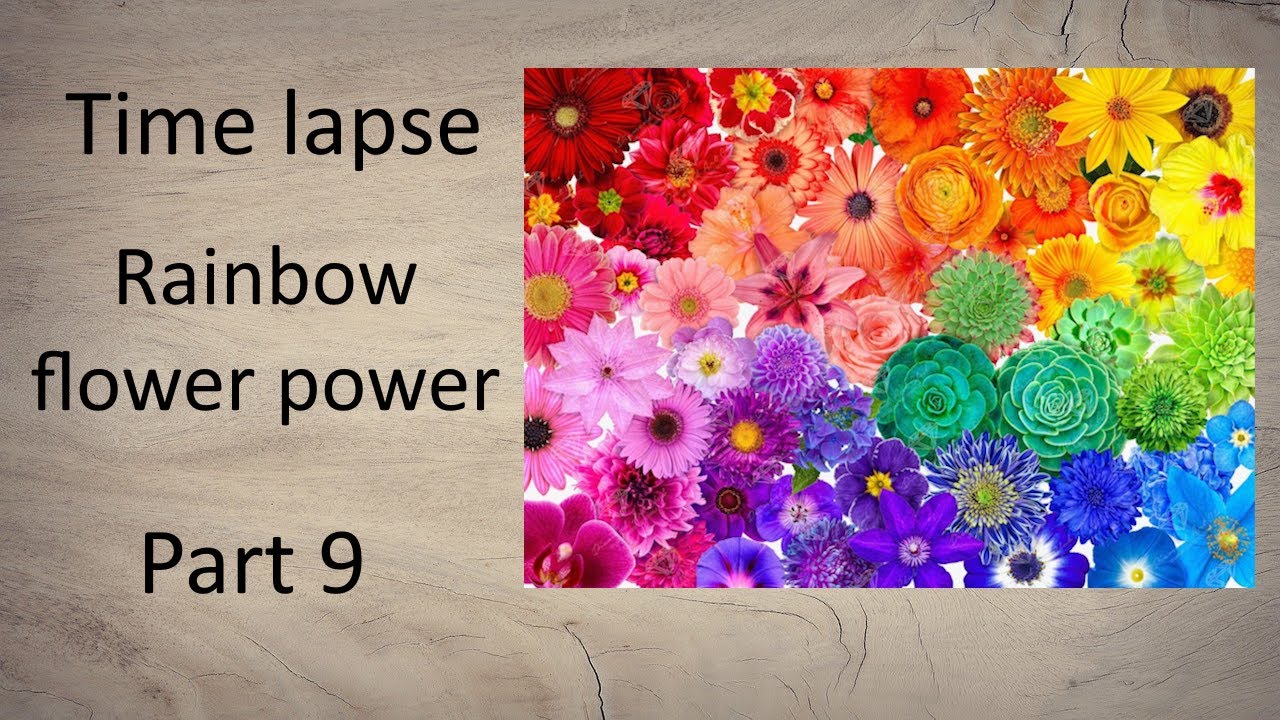 Diamond painting time lapse part 9 - Rainbow Flower Power