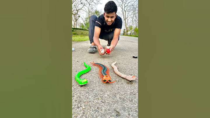Remote control snake and Centipede Scolopendra Centipede Scolopendra