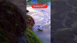 Village Inside Fishingtrap