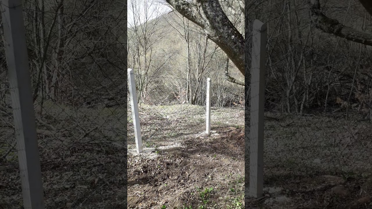 1 June 2020 - YouTube