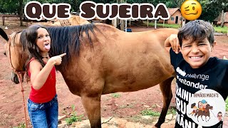 Olha A Sujeira Dessa Égua, Precisamos Agir Urgente - Irmãos Machs