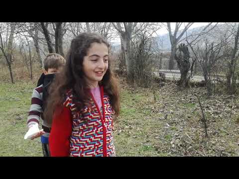 დის გატაცება#2