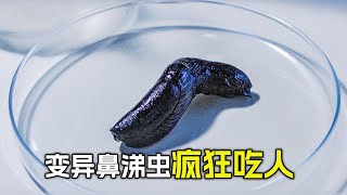 鼻涕蟲發生了變異，能快速繁殖，見人就咬，災難，恐怖，奇幻片，6個恐怖小故事合集