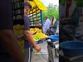 mini vlog #business #explore #mango #minivlog #explorepage #mangoseason