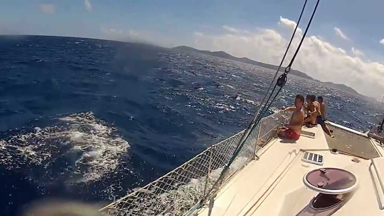 SailOceans Life Priorities Reset – Caribbean Sail 2012 (preview sample)