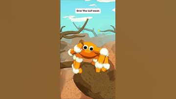 New uploading schedule for our videos #fluffy #spider #game #indiegame #gaming #gamedev #indiedev