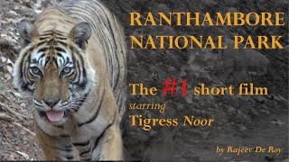 Ranthambore National Park with Tigress Noor (Tiger T-39) in 4K