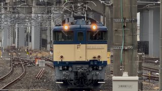 【4K高画質】【EF64-1030  長岡返却回送（長野→長岡）】国鉄EF64形1000番台1030号機〔新潟〕が単機で警笛を鳴らして大宮駅11番線に到着するシーン（単9429レ）2025.10.22