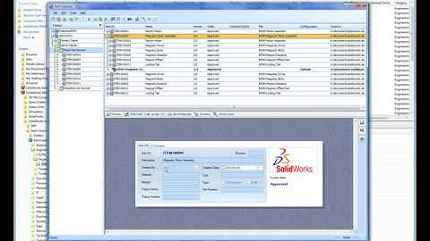 SW Item Centric Data Management
