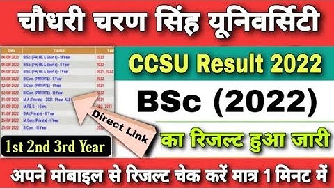 ccsu bsc result 2022 | ccsu bsc 1st, 2nd, 3rd year result 2022 | ccsu result 2022 kaise check kare