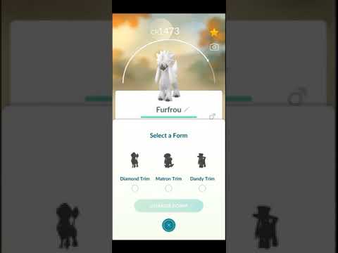 Furfrou | Changing