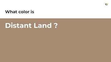 Distant Land color #a68a71 hex color - Brown color - Cool color a68a71