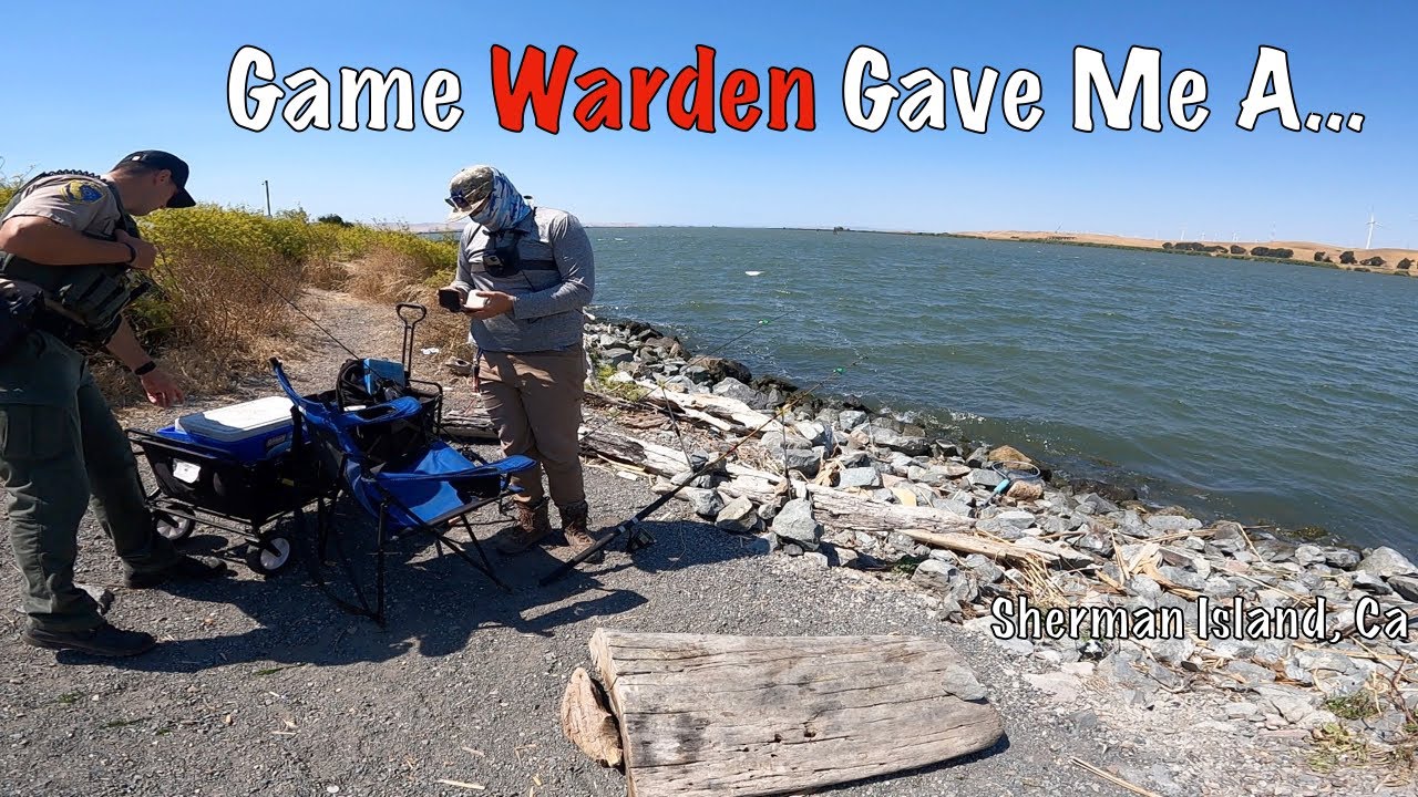 Sacramento River August Striper Fishing 2023 (GAME WARDEN) YouTube