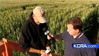 44 Acre Corn Maze Opens In Dixon