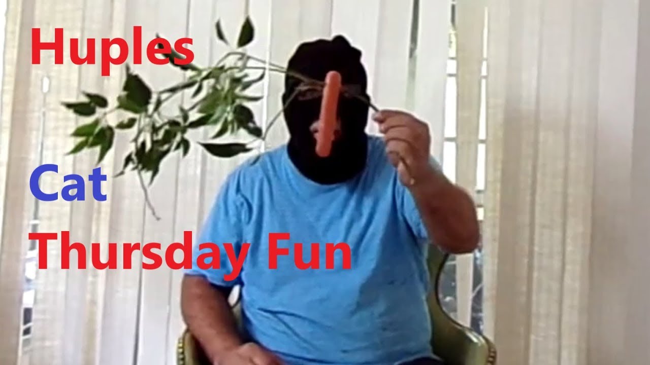 download free music Thursday Fun- Crazed Animal & People Edition