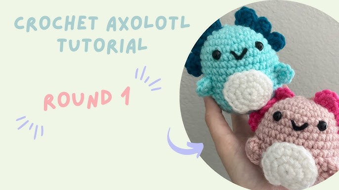 DIY Amigurumi Crochet Kit Little Axolotl / Craft Project Crochet Axolotl /  Handmade Axolotl / 