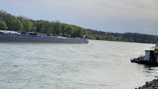 Walking next to the Danube #gratitude