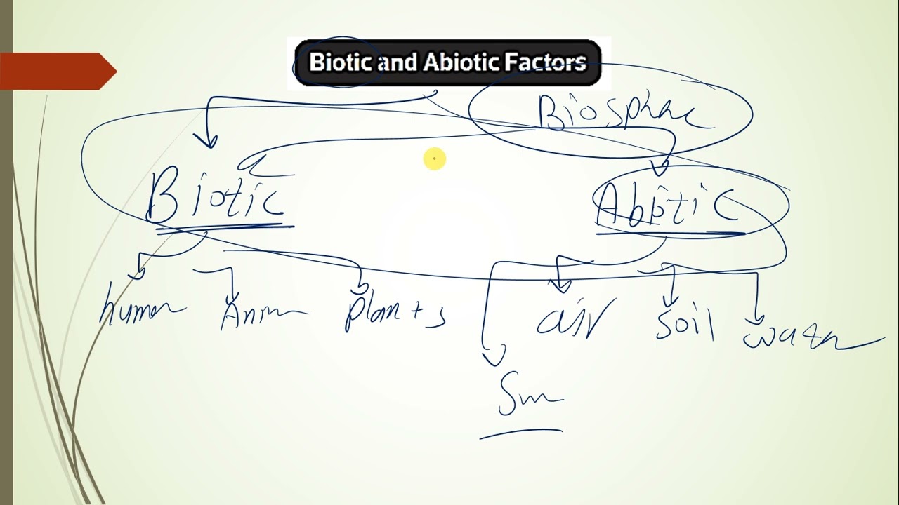 Summary 1 Lesson 1 part1