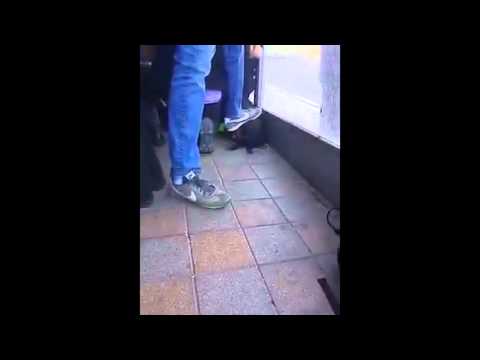 شرطة العدو تدوس على رأس طفلة فلسطينية بدعوى تنفيذ عملية طعن