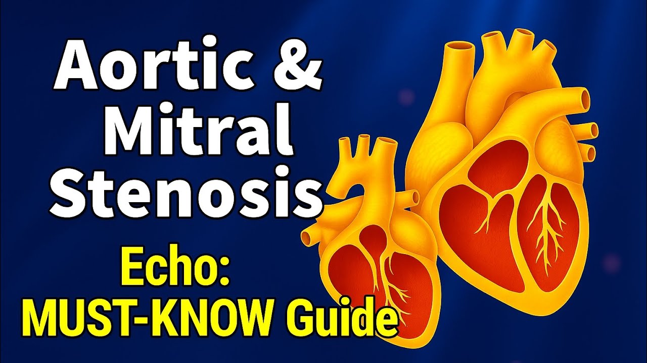 Aortic and Mitral Valve Assessment in Echocardiography with Clinical findings 