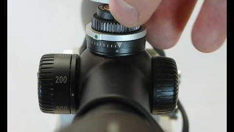 Langholdsfilmen blog 13: Bastardkikkerter