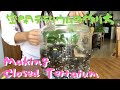 Making closed Terrarium DIY 密閉テラリウム  植物　育て方