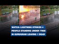 Watch lightning strikes 4 people standing under tree in gurugram leaving 1 dead