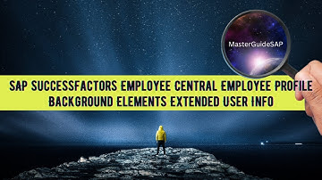 D13 SAP SuccessFactors Employee Central Employee Profile Background Elements Extended User Info