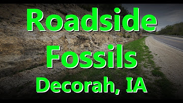 Roadside Fossils Decorah, IA (Ordovician Formation)