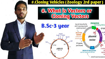 Cloning Vectors || Expression vector || B.Sc 3rd year Zoology second paper || Biotechnology